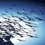 La relazione tra mente e corpo nelle situazioni al limite: Gli stati vegetativi