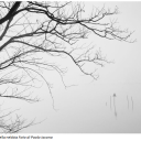 Spettatori di sè stessi