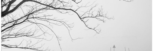 Spettatori di sè stessi