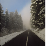 La ricerca del senso