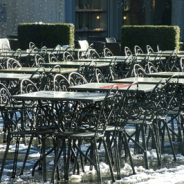 A caccia di indizi: chi si somiglia si piglia