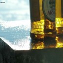 Guardarsi negli occhi per addomesticarsi