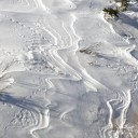 Quale volontariato? Questione di capienza